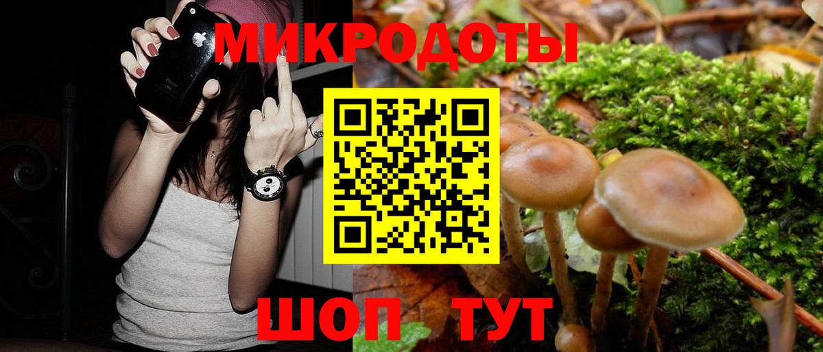 Галлюциногенные грибы Cubensis  Вход с VPN  Камышин 